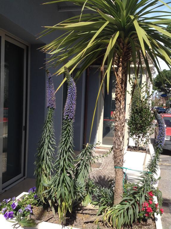 ריצ'יונה Hotel San Giorgio מראה חיצוני תמונה