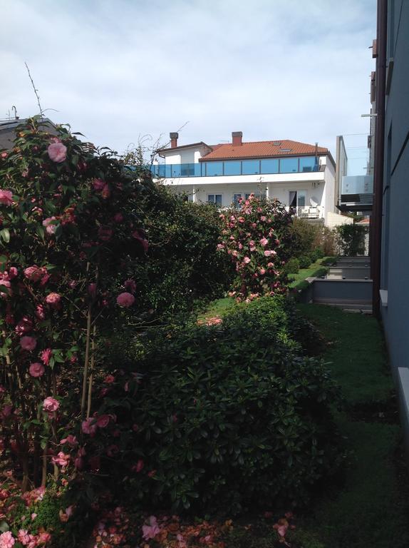 ריצ'יונה Hotel San Giorgio מראה חיצוני תמונה